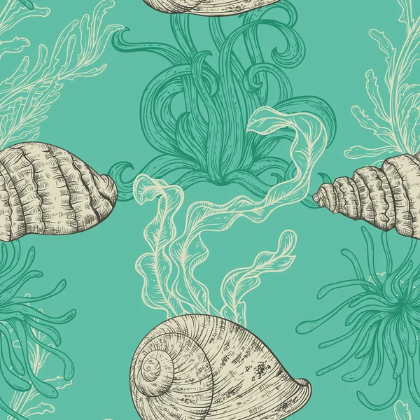 海の貝、海洋植物や海藻のコレクションとのシームレスなパターン。手描きの海藻のビンテージ セット。ライン アート スタイルでベクトル イラスト。夏のビーチ、装飾のための設計します。. — ストックベクタ