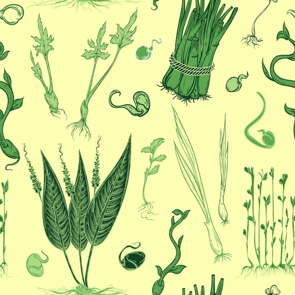 Modèle sans couture avec des pousses fraîches plantes ensemble. Illustration vectorielle dessinée main — Image vectorielle