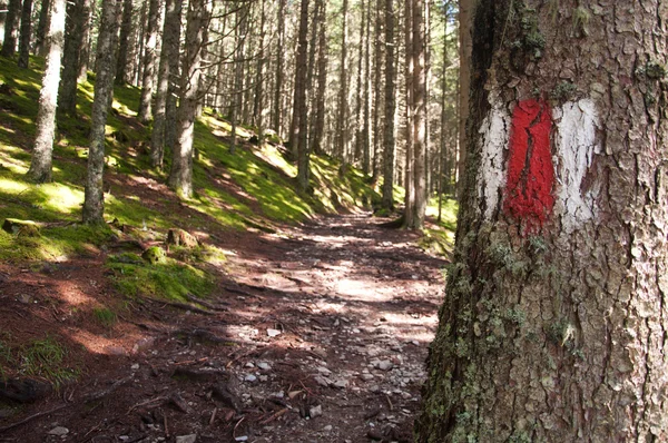 Hiking trail işareti