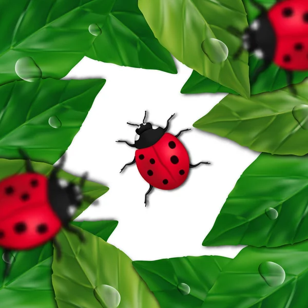 Illustrazione Dell Insetto Coccinella Sul Concetto Cornice Delle Foglie Stagione — Vettoriale Stock