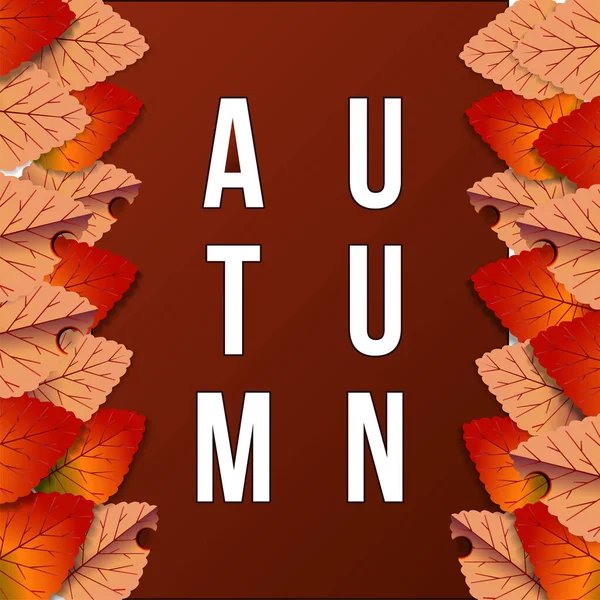 Gruppe Blätter Herbst Herbst Hintergrund Rot Rahmen Illustration Vorlage — Stockvektor