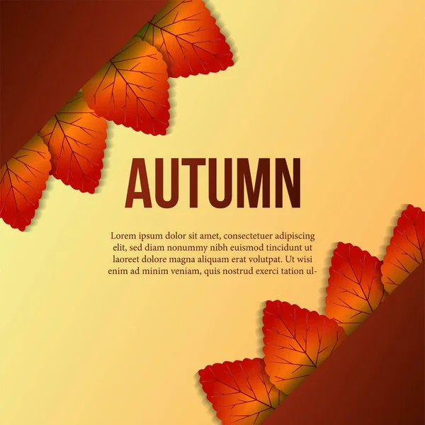Rahmen Ecke Herbst Herbst Blätter Ahorn Grußkarte Hintergrund — Stockvektor