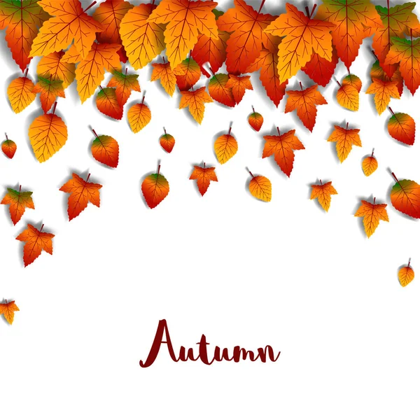 Autumn Fall Offer Banner Decoration Poster Banner — Stock Vector