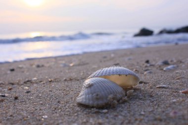 Gökyüzü Asya Budizm 'i gezer