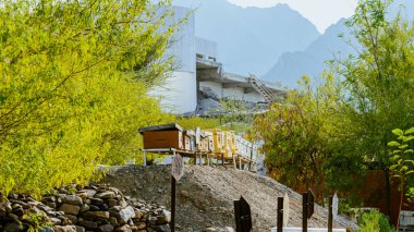 Arı yetiştiricisi bal topluyor. Arıcılık konsepti. Yüksek kalite fotoğraf