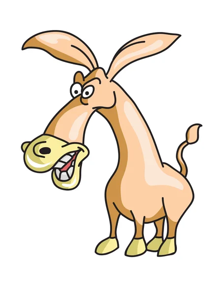 Cartoon donkey smile and happy — Stock Vector