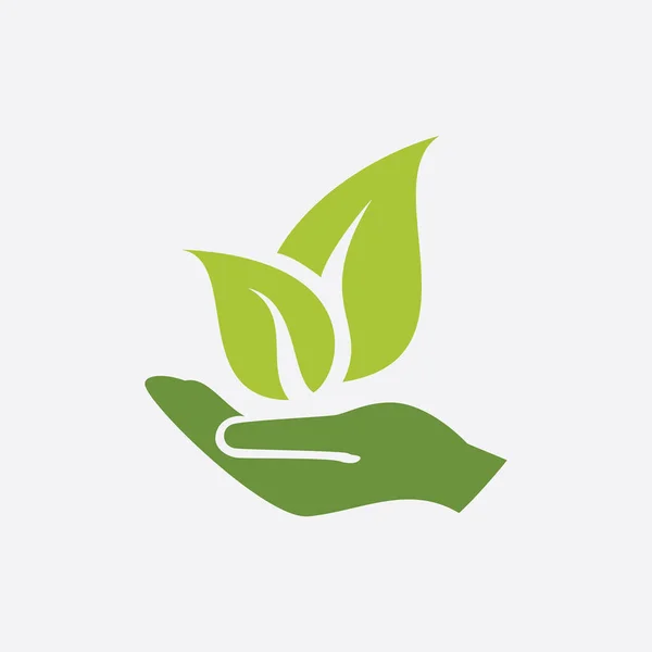 Logo Vectoriel Pour Agriculture Agronomie Ferme Blé Champ Agricole Rural — Image vectorielle