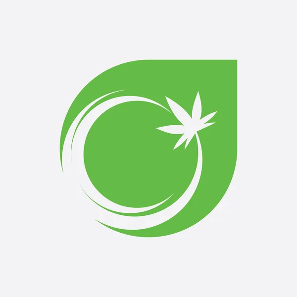 Cannabis Blatt Symbol Logo Design Konzept Lager Illustration — Stockvektor