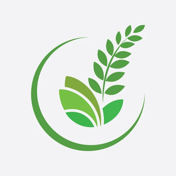 Hoja Planta Logo Bienestar Naturaleza Ecología Símbolo Vector Icono Diseño — Vector de stock