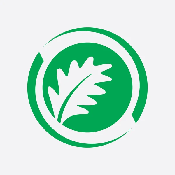 Feuille Plante Logo Bien Être Nature Écologie Symbole Vecteur Icône — Image vectorielle