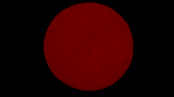 Rode Planeet Vormige Bol Draaien Rond Mars Planet Zwarte Achtergrond — Stockvideo