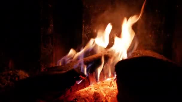 Fuego ardiente en una chimenea — Vídeos de Stock