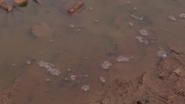 Gaz baloncukları çamur ve suyun içinden yükseliyor. — Stok video
