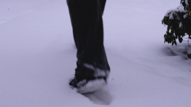 Mann fährt in der Nähe in den Schnee — Stockvideo