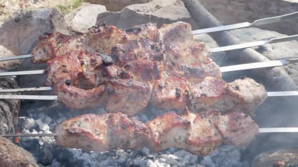 Grelhar o prato saboroso no churrasco. comida saborosa em espeto de metal na floresta. conceito de horário de piquenique — Vídeo de Stock