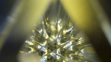 Soyut yeşil kristal ışık