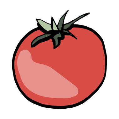 Taze sebze domatesi. Sağlıklı yiyecekler. Sebze yetiştiriyorum. Canlı vitaminler. Yaz. 