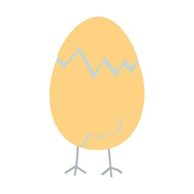 Yumurtadan çıkan bir tavuğun doğumu. Kabuklu tavuk. Komik sarı tavuk. Beyaz arka planda Paskalya pilici.