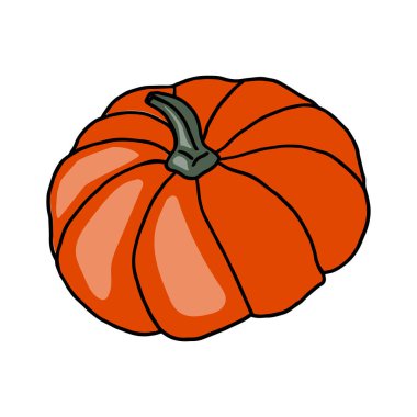 Taze sebze kabağı. Sağlıklı yiyecekler. Sebze yetiştiriyorum. Canlı vitaminler. Yaz sebzeleri.