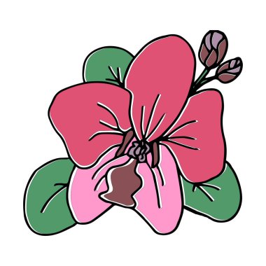 Kumaş, parmak izi, kağıt, kartpostal, poster basmak için tomurcuklu tropik pembe mercan orkidesi.