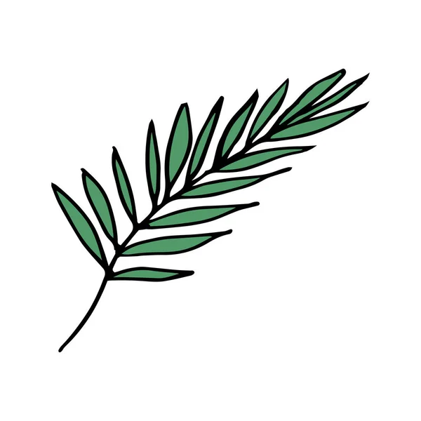 Minimalistische vector illustratie met groene bladeren. Palmbladeren. Voor posters, ansichtkaarten, briefpapier. Natuurlijke kleuren. — Stockvector