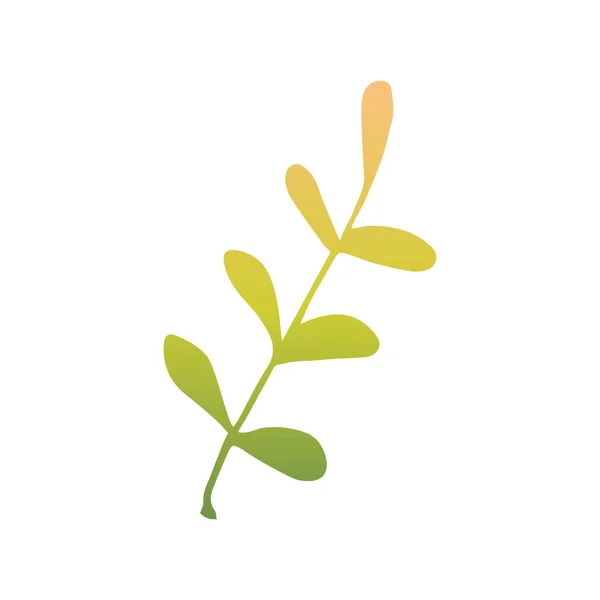 Het blad van de plant is in de vorm van een kronkel in de stijl van een doodle. Herfstblad — Stockvector