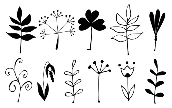 Рука нарисовала линейные листья, ветви. Ботанические элементы, растущие растения. Векторная иллюстрация. — стоковый вектор