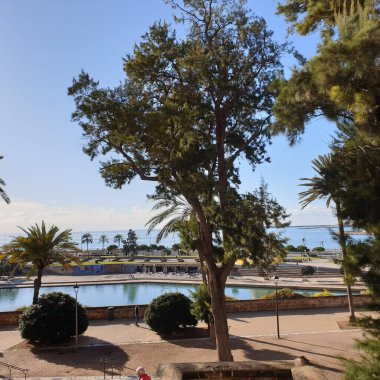 Palma de Mallorca 'daki deniz parkı manzarası