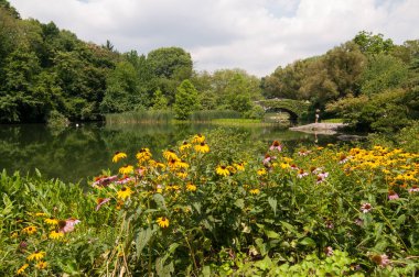 Central Park 'taki The Lake' in önünde çiçekler, New Yok City, Manhattan, ABD. Durgun su, köprü ve arka plandaki kişi.