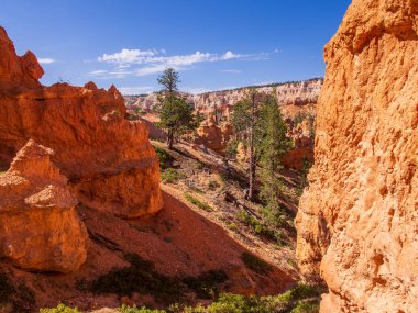 Kum ve Taş oluşumları Bryce Canyon Ulusal Parkı, Utah, ABD