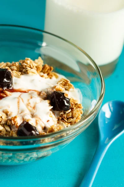 La avena enrollada — Foto de Stock