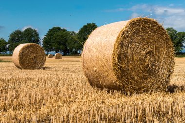 Haystacks güneşli gün alanında.
