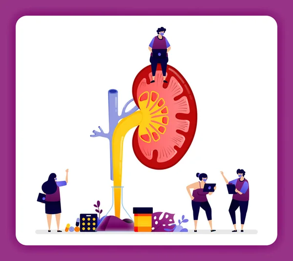 Design Illustration Für Nierenerkrankungen Und Behandlung Detail Der Niere Für — Stockvektor