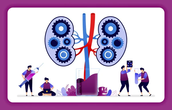 Απεικόνιση Σχεδιασμού Για Νεφρική Νόσο Και Θεραπεία Μηχανισμούς Στο Νεφρό — Διανυσματικό Αρχείο
