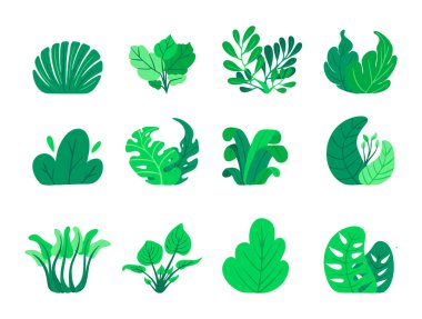 Dekorasyon ve elementler için yaprak ve çimen koleksiyonu