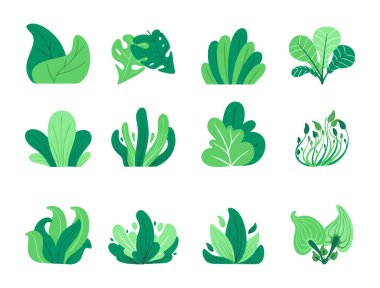 Dekorasyon ve elementler için yaprak ve çimen koleksiyonu