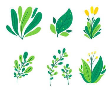 Dekorasyon ve elementler için yaprak ve dal koleksiyonu