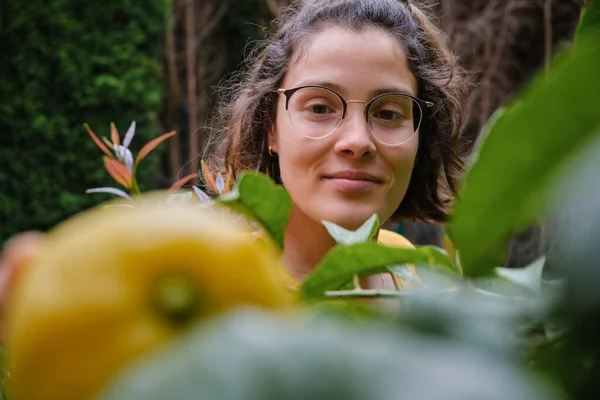 Ağaçtan limon toplayan genç bir kadının portresi. Kendi prodüksiyonum. Arkaplana odaklan