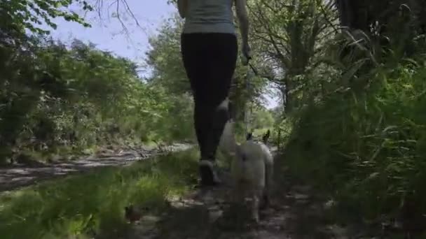Mladá Běloška Venčí Přírodě Čivavského Psa Cvičení Domácím Mazlíčkem — Stock video