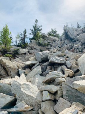 Beyaz taşlara karşı yeşil ağaçlar ve mavi gökyüzü, boşluk