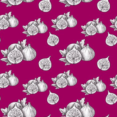 Gıda skeciyle el çizimi grafik desen, Fruit - Figs