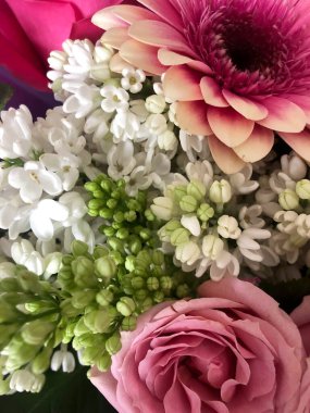 Pembe çiçeklerin soyut arkaplanı güldür. Yakın plan..