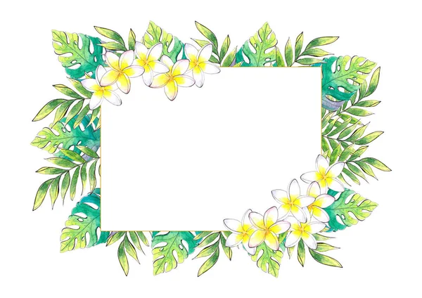 Ручна намальована акварельна літня ботанічна рамка з квітами та гілками — стокове фото