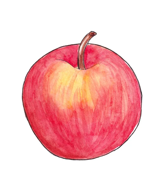 Acquerello disegnato a mano Frutta matura naturale - Mela — Foto Stock