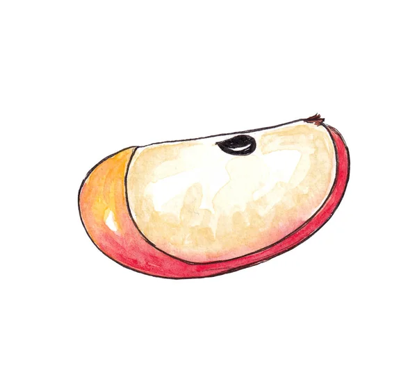 手描き水彩天然熟した果実- Apple slice — ストック写真