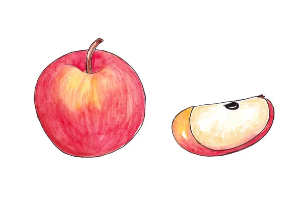 手描き水彩ナチュラル熟した果物- Appleサポート — ストック写真