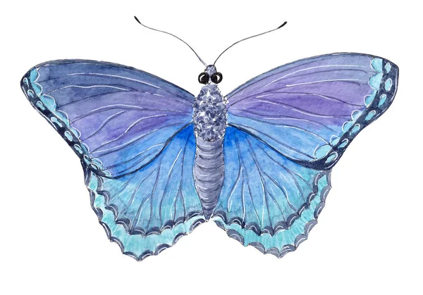 Ručně kreslený akvarel hmyz krásný exotický motýl — Stock fotografie