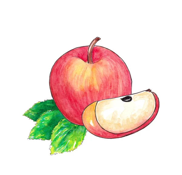 手描き水彩ナチュラル熟した果物- Appleサポート — ストック写真