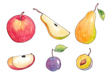 Doğal olgun meyveli el yapımı suluboya seti. Elma, armut, erik.
