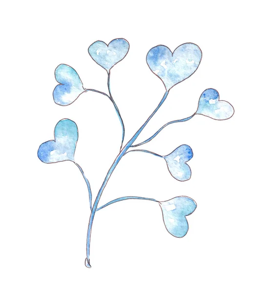 Hand drawn watercolor winter plant. Botanic illustration. — Stock Photo, Image